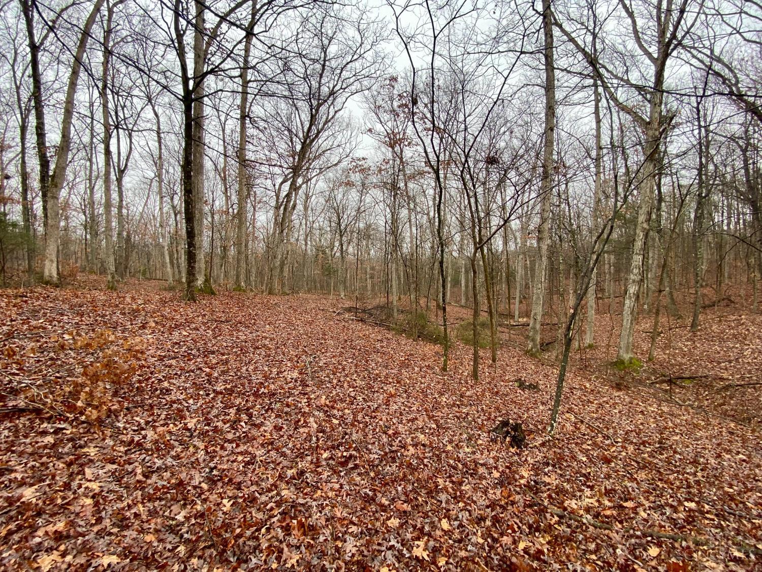 435 Rolling Woods Drive