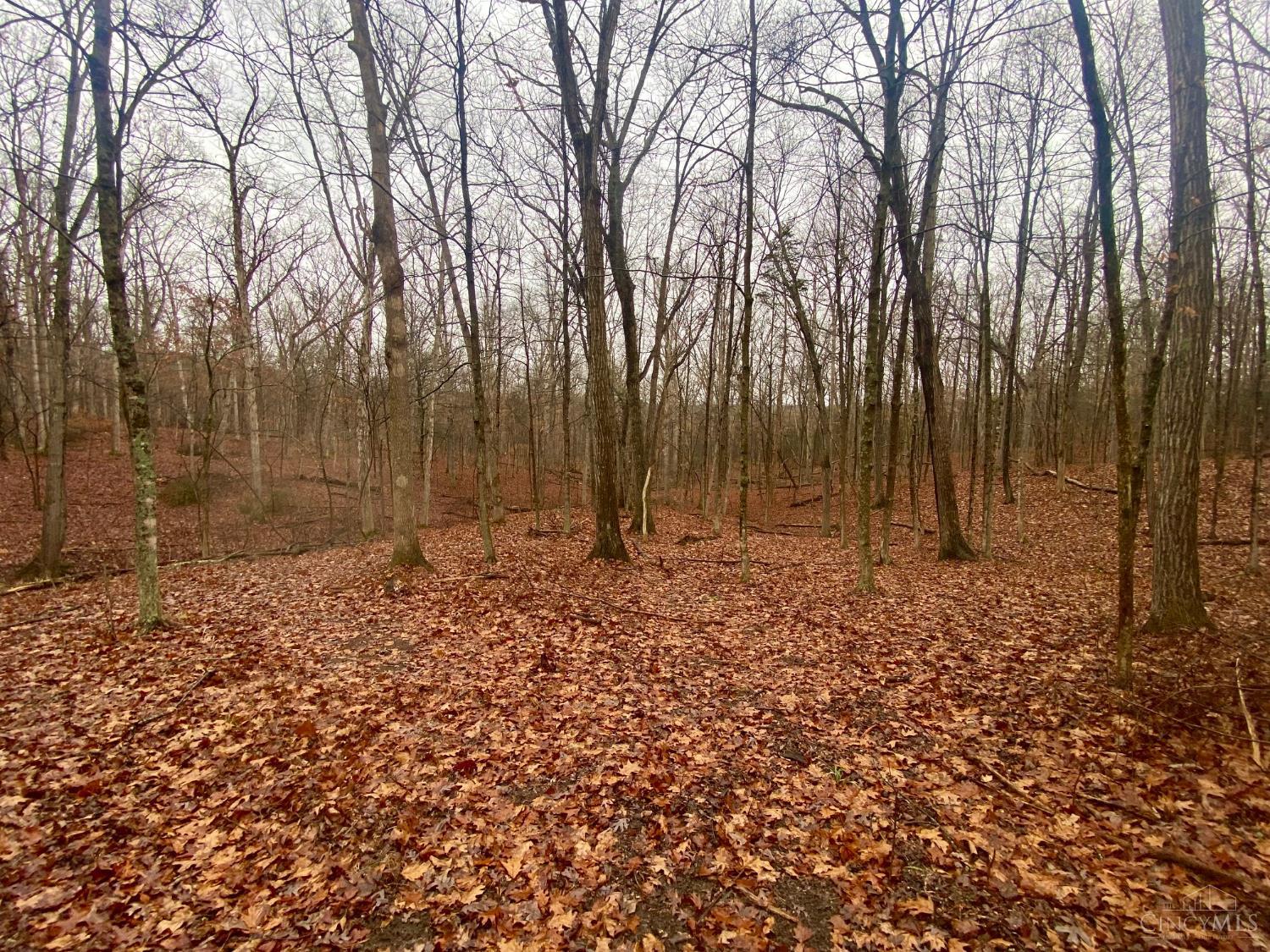 435 Rolling Woods Drive