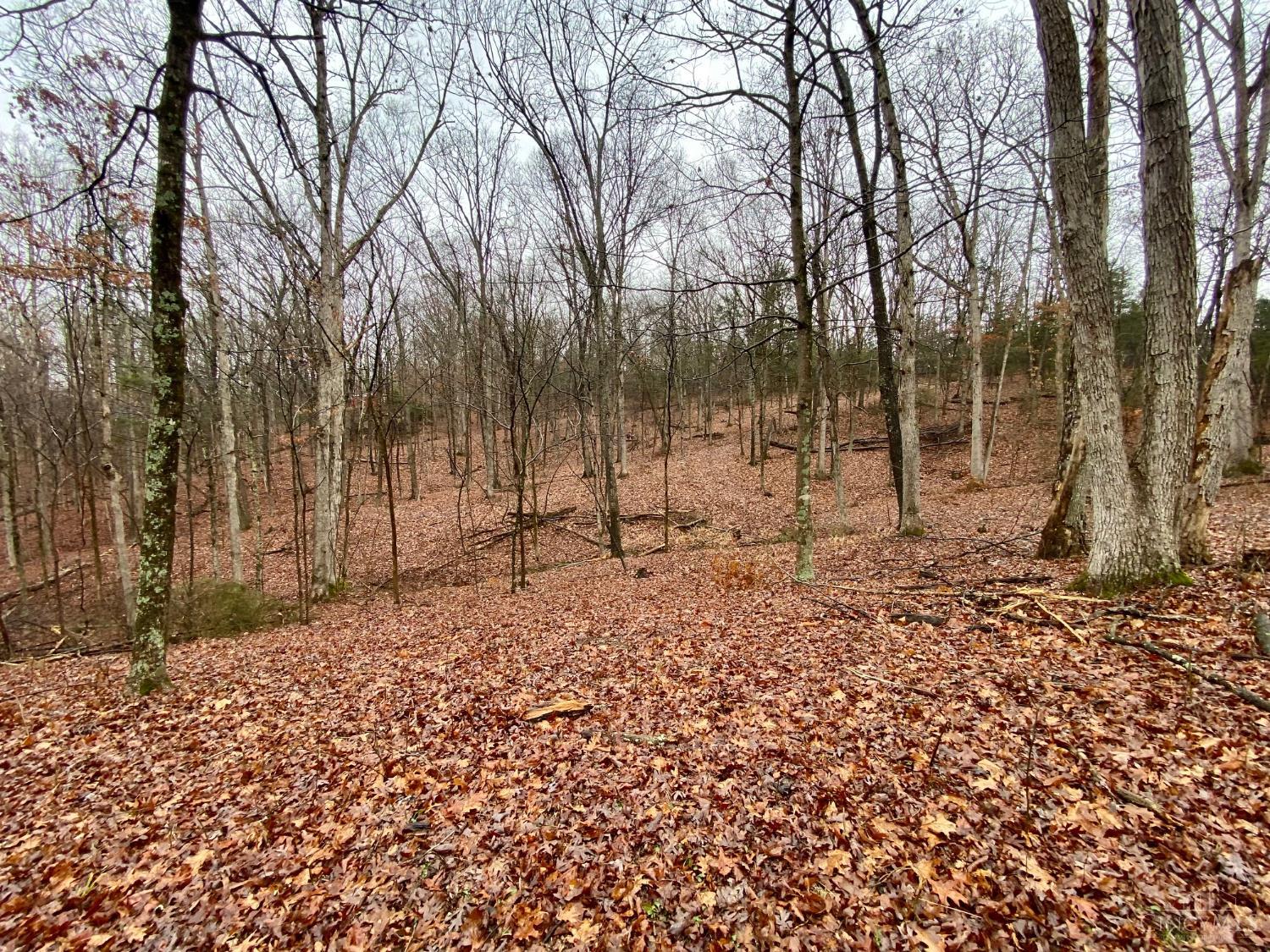 435 Rolling Woods Drive