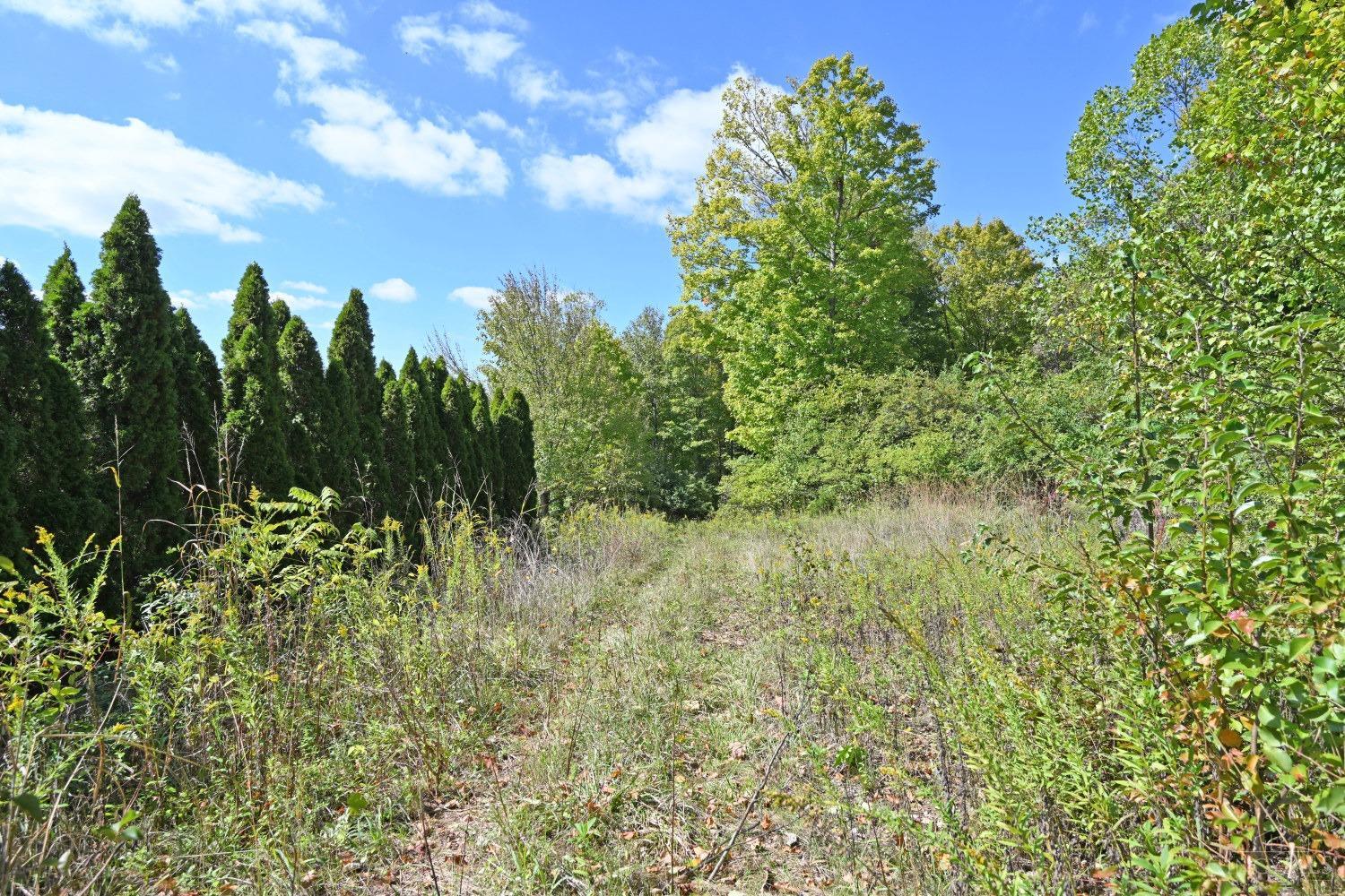 3301 Mt Carmel Road, Anderson Twp, Ohio image 4