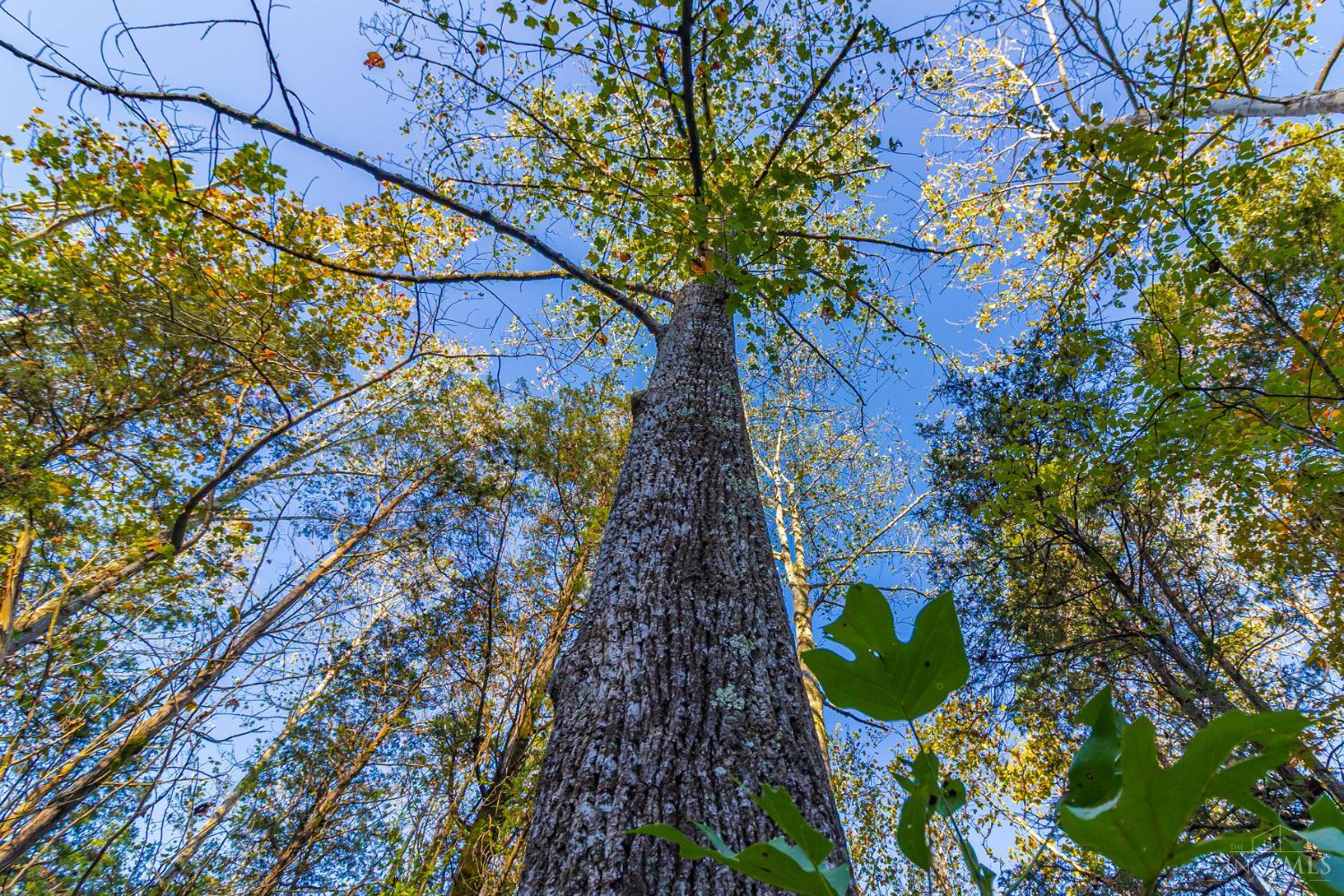 0 Paradise Valley Road