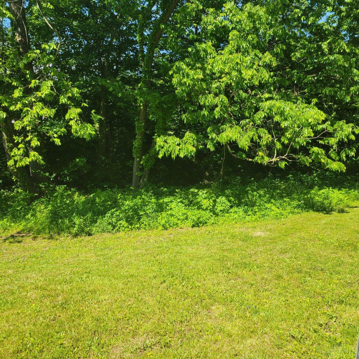 5103 Washburn Road, Brushcreek Twp, Ohio image 5