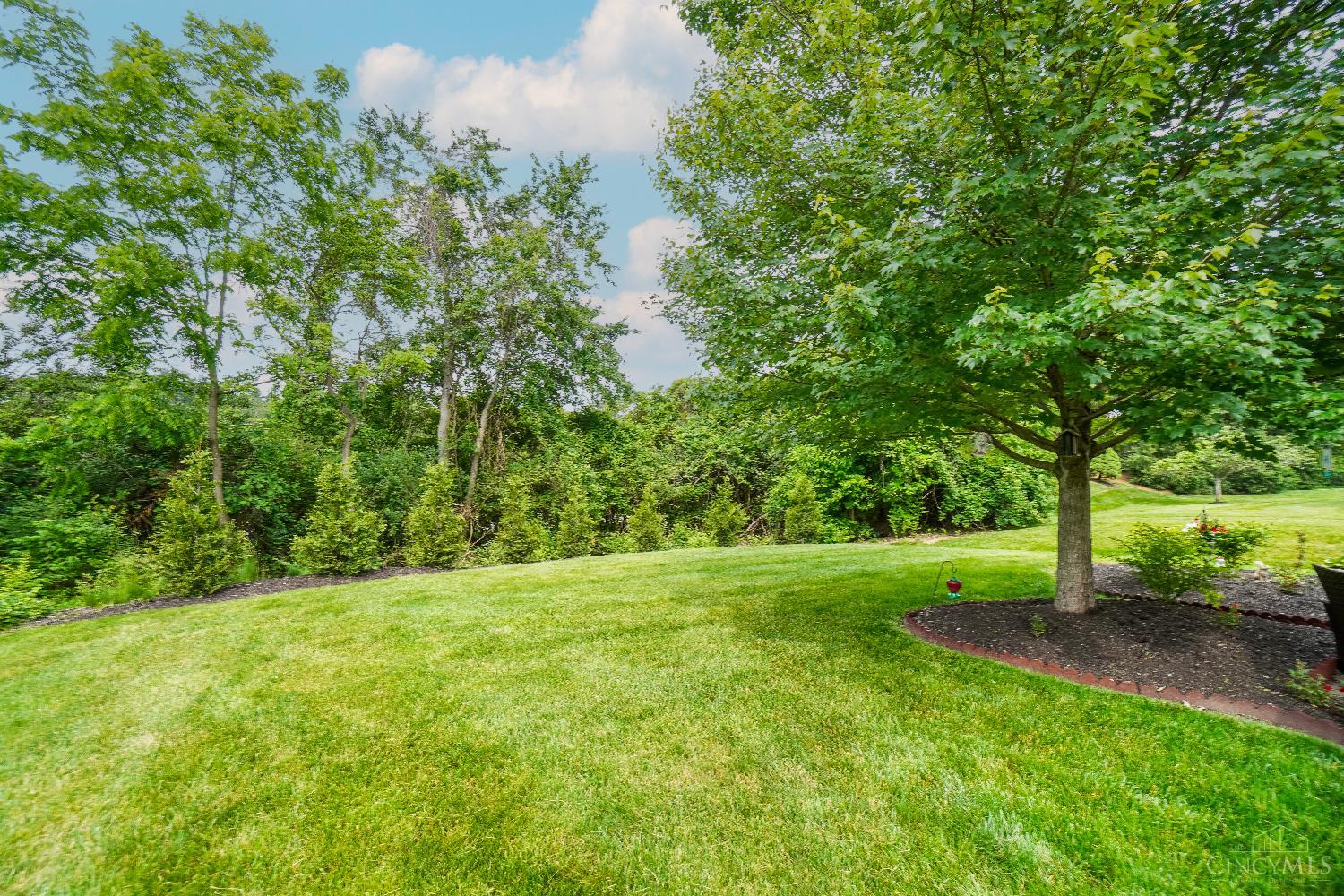 4209 Avalon Court, Batavia, Ohio image 43