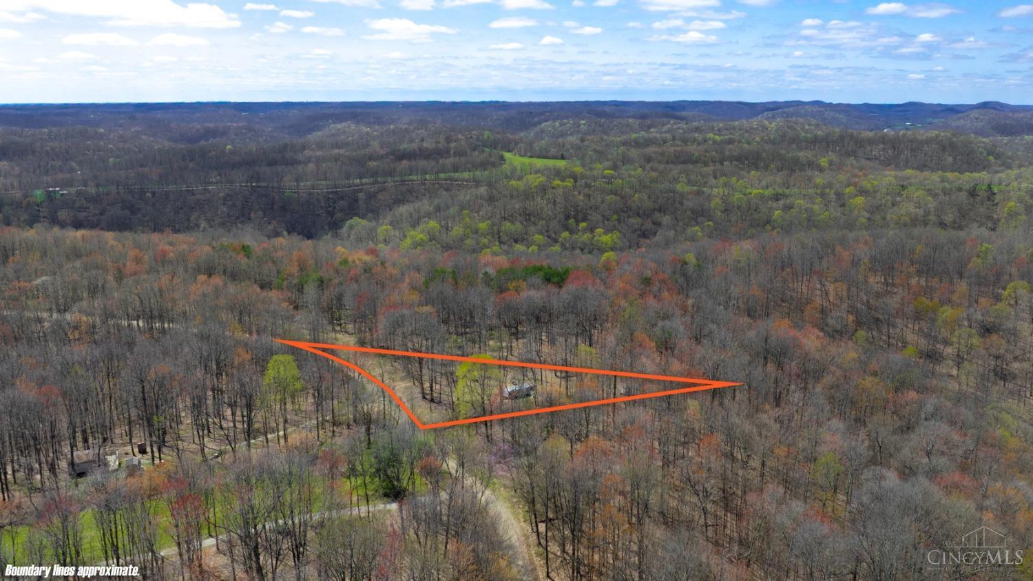 3931 Mt Unger Road, Otway, Ohio image 3