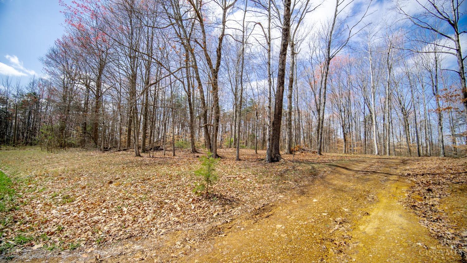 3931 Mt Unger Road, Otway, Ohio image 7