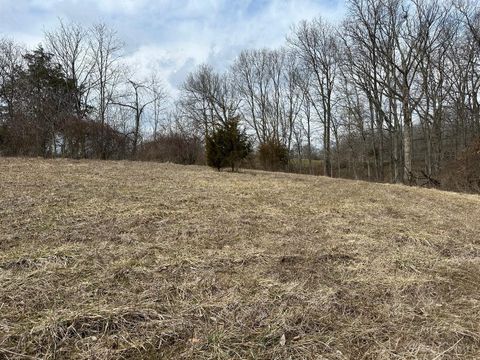 Vacant Land For Sale - Wilson Road<br/> Eagle, OH 45697
