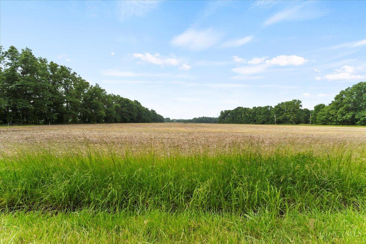 2118 Bardwell West Road, Sterling Twp, Ohio image 3