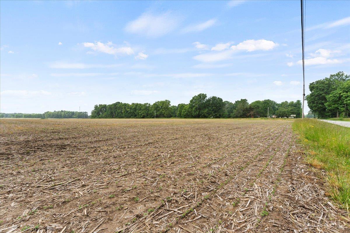 2118 Bardwell West Road, Sterling Twp, Ohio image 4