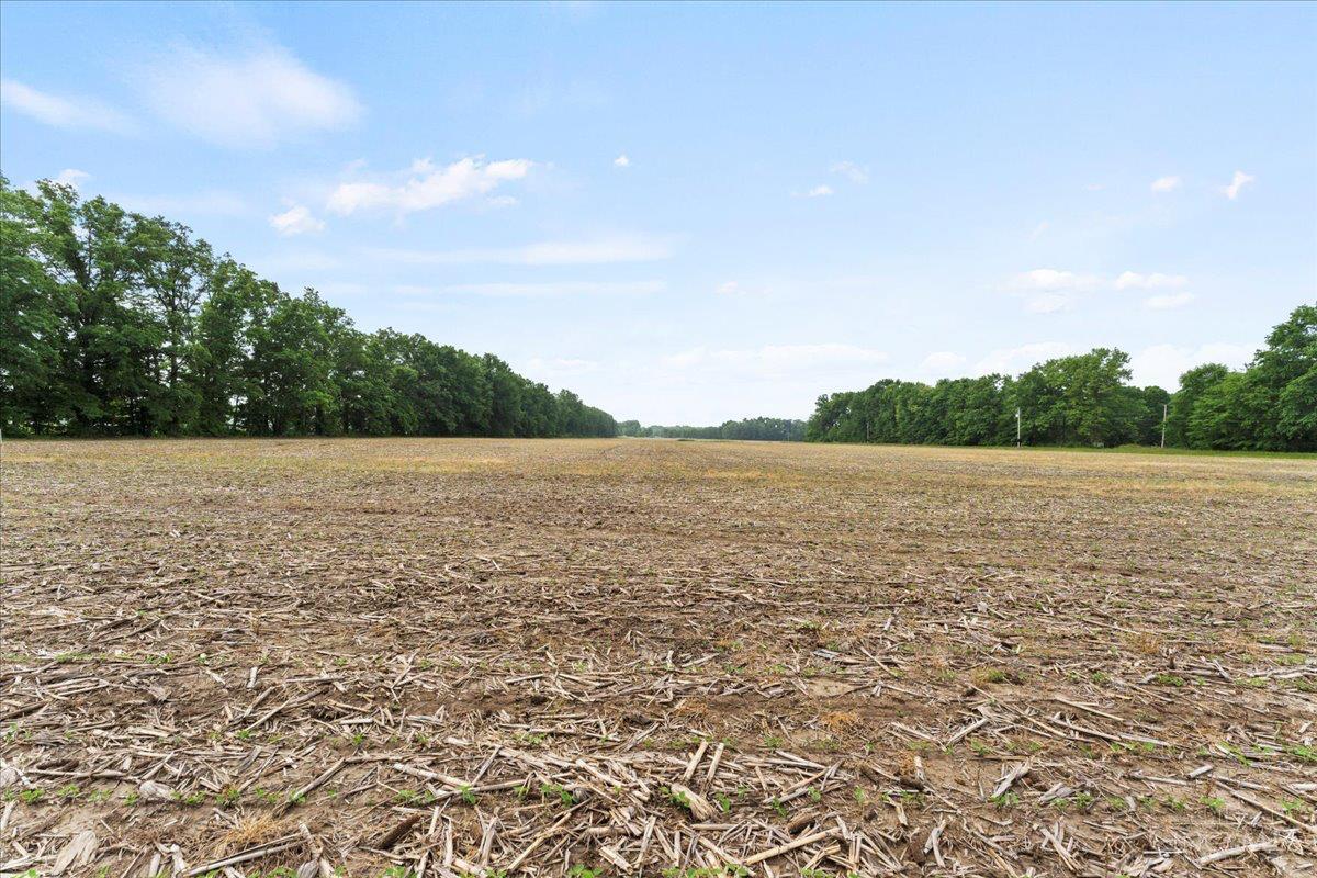 2118 Bardwell West Road, Sterling Twp, Ohio image 7