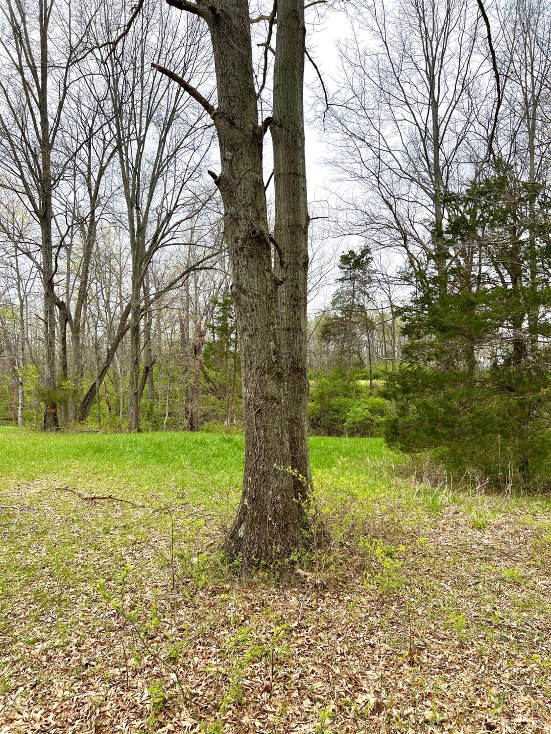 8294 Marks Road, Lewis Twp, Ohio image 21