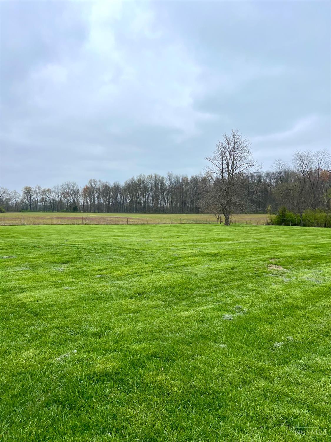 8294 Marks Road, Lewis Twp, Ohio image 11