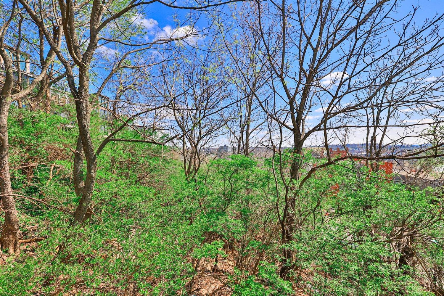 330 Oregon Street, Cincinnati, Ohio image 9