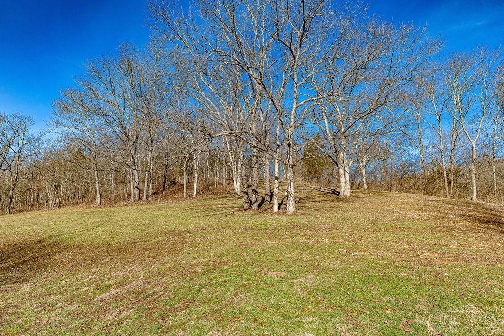 6085 St Peters Road, West Harrison, Indiana image 7