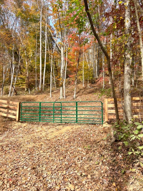 Vacant Land For Sale - 514 Dog Hollow Road<br/> Otway, OH 45657