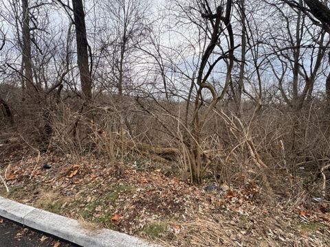 Vacant Land For Sale - 1039 Burton Avenue<br/> Hamilton County, Cincinnati, OH 45229