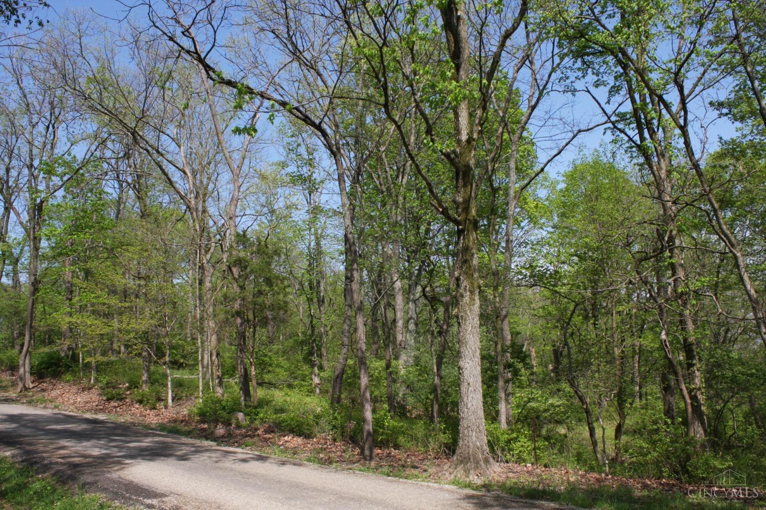 Kentucky Avenue, West Harrison, Indiana image 6