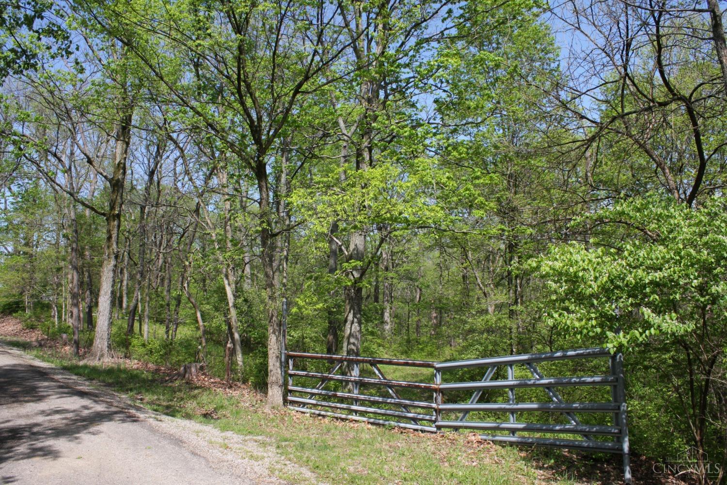Kentucky Avenue, West Harrison, Indiana image 3