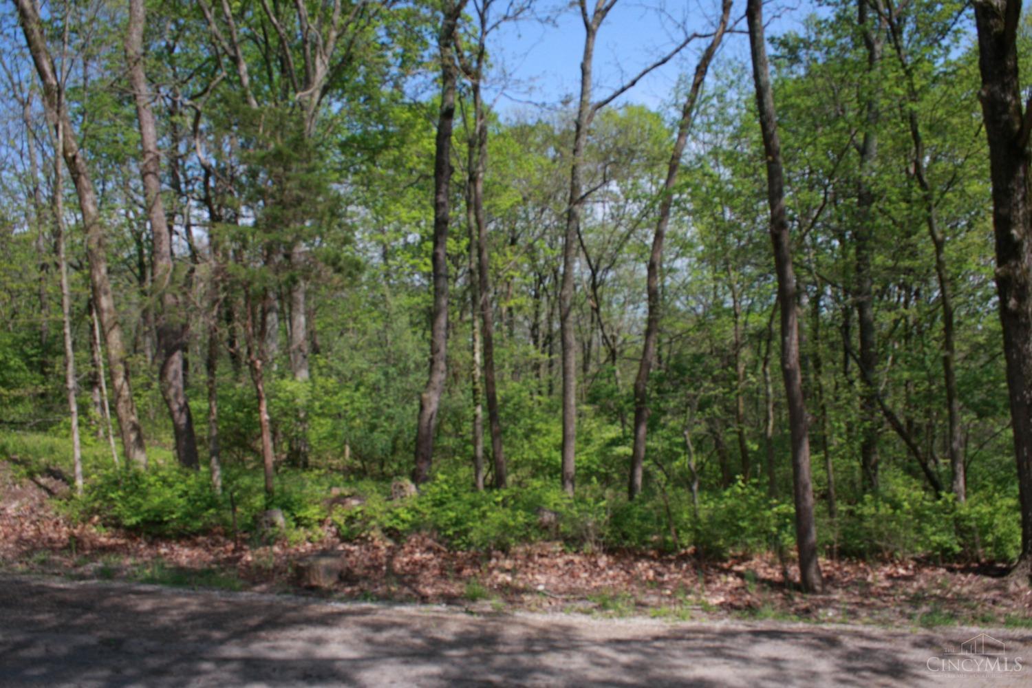 Kentucky Avenue, West Harrison, Indiana image 7