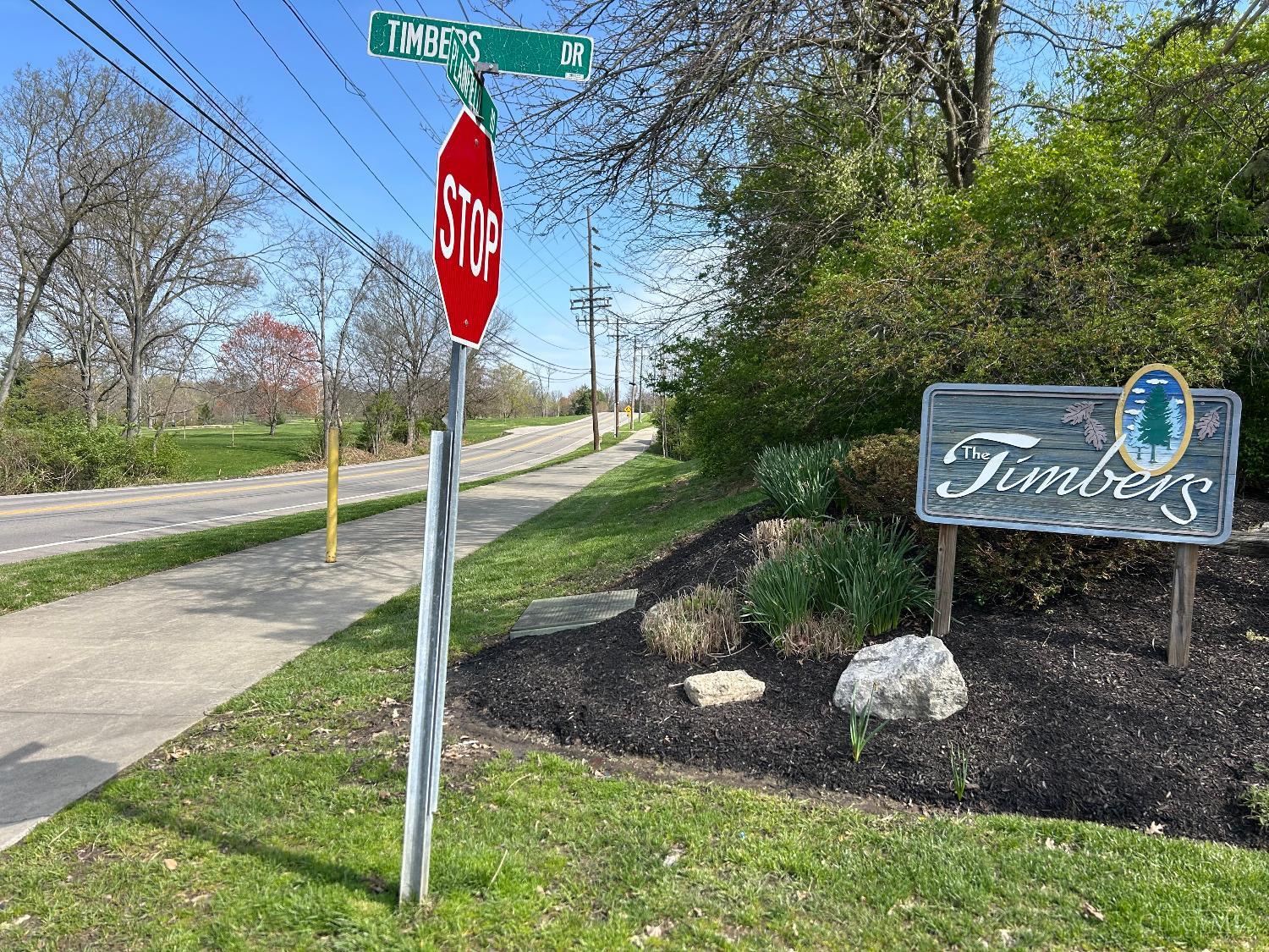9963 Timbers Drive, Blue Ash, Ohio image 20