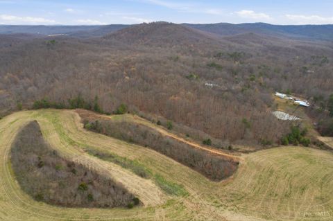 Vacant Land For Sale - John Fristoe Lane<br/> Peebles, OH 45660