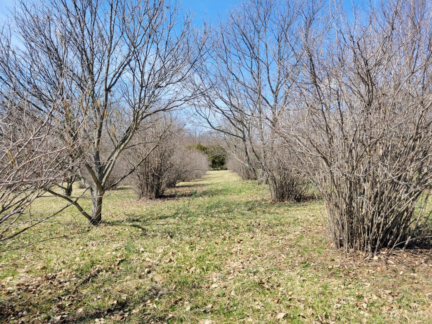 6786 Oak Ridge Road, New Market Twp, Ohio image 6