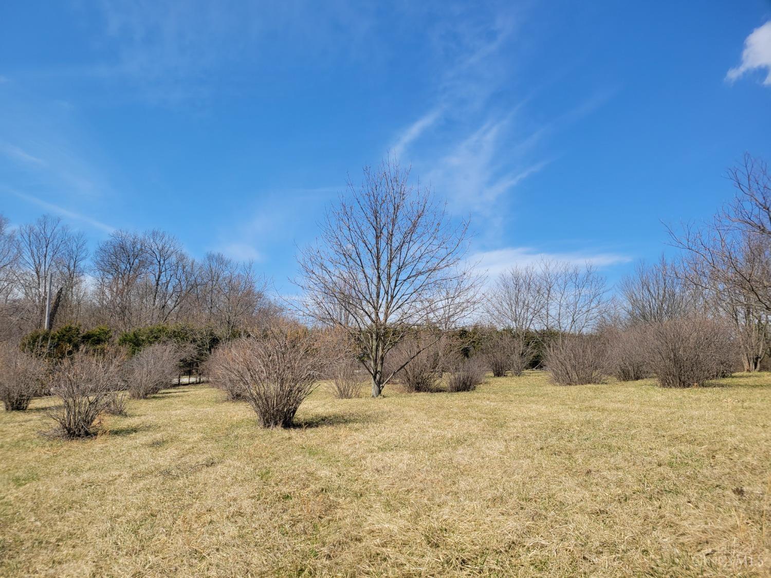 6786 Oak Ridge Road, New Market Twp, Ohio image 9