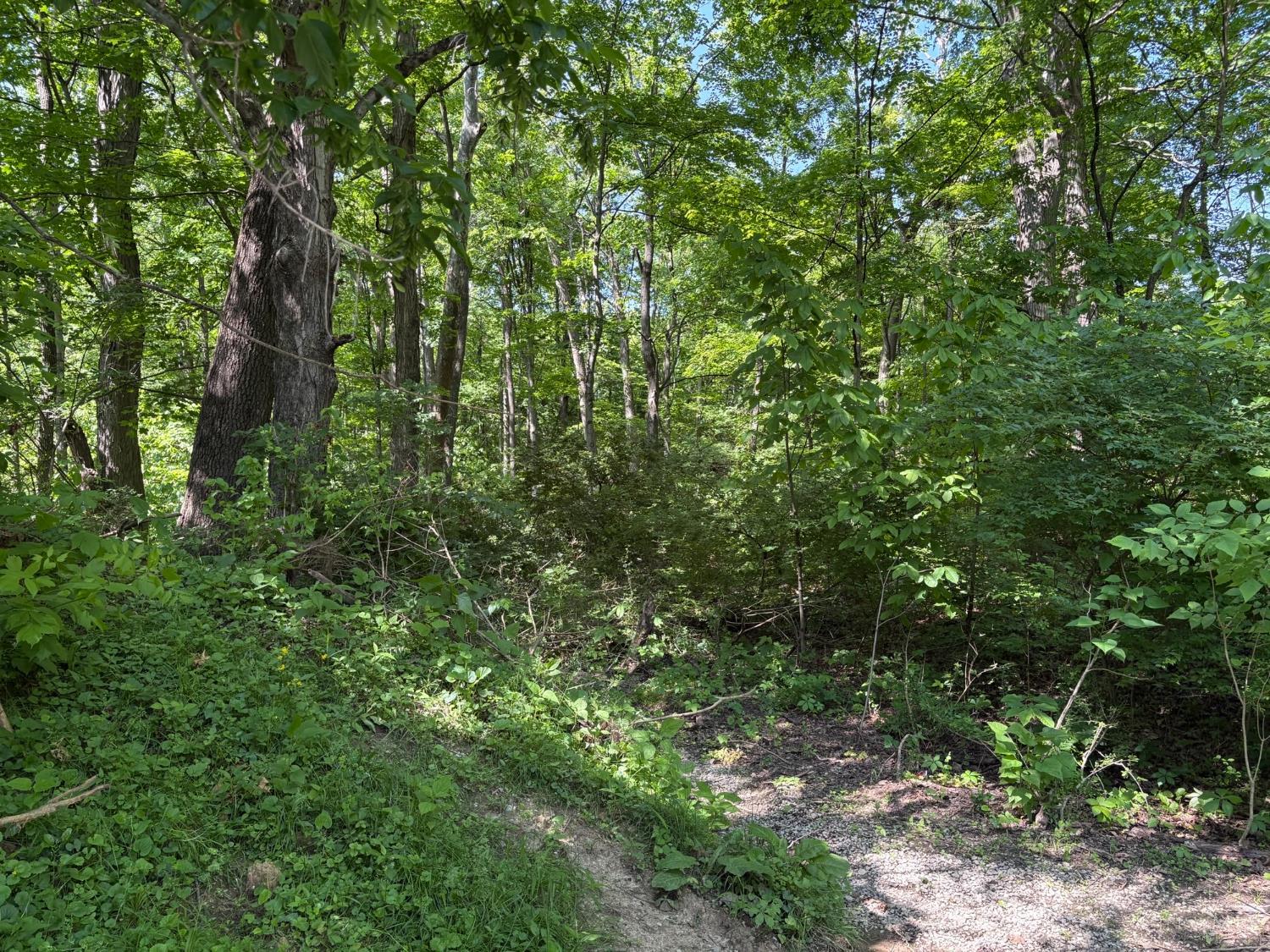63 Willetsville Pike, Hillsboro, Ohio image 4