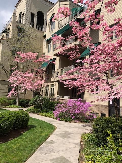 Photo of 2380 Madison Road #E3A, Cincinnati, OH 45208 (MLS # 1864709)