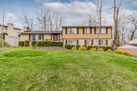 Homes For Sale - 325 Thelma Avenue<br/> Clayton, OH 45415