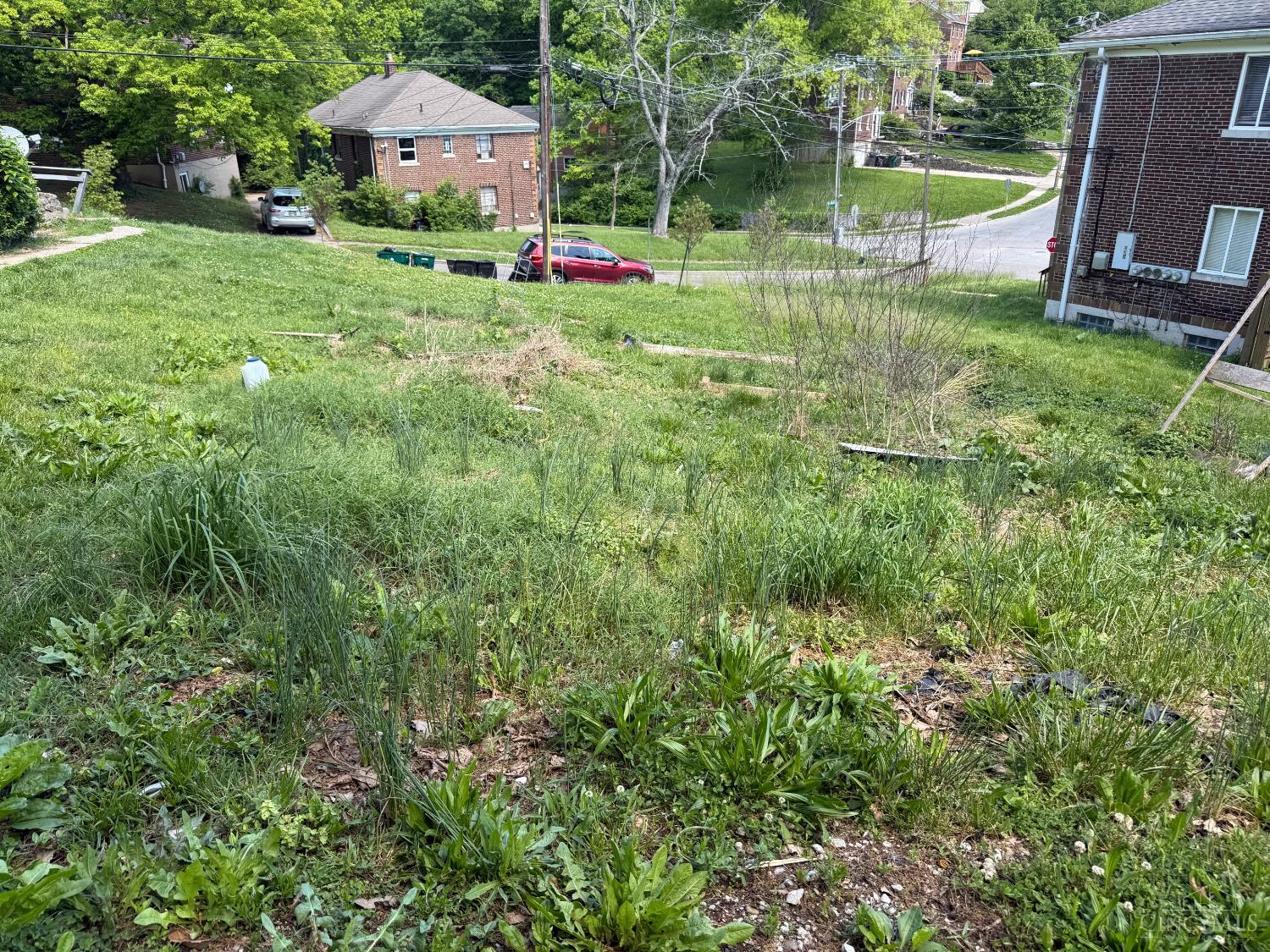 3111 Bracken Woods Lane