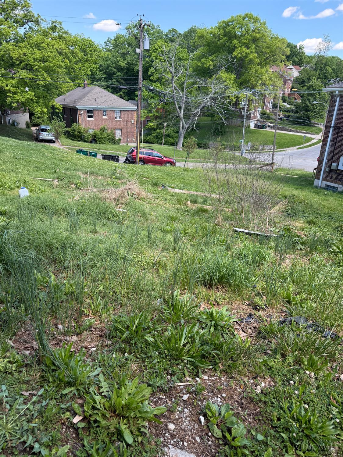 3111 Bracken Woods Lane
