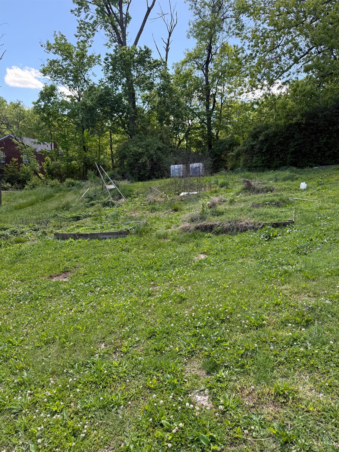 3111 Bracken Woods Lane