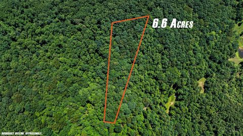 Vacant Land For Sale - Tulip Road<br/> Lynx, OH 45650
