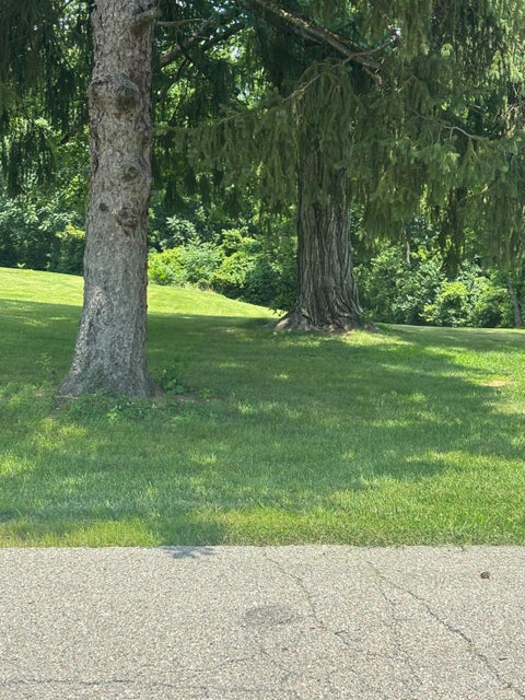 Photo of 0 Cosmos Road, Deerfield Township, OH 45140 (MLS # 1896752)