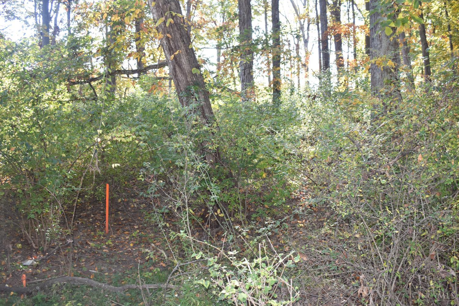 209 Schlitz Drive 209