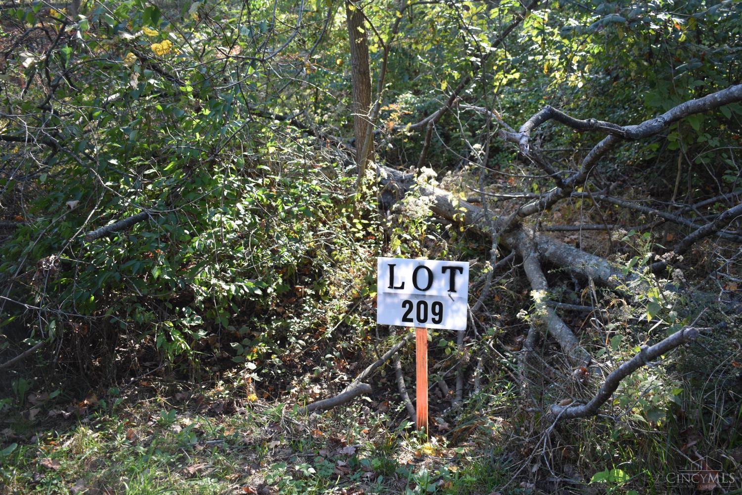 209 Schlitz Drive 209