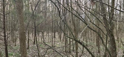 Vacant Land For Sale - 506 Cherry Street<br/> Blanchester, OH 45107