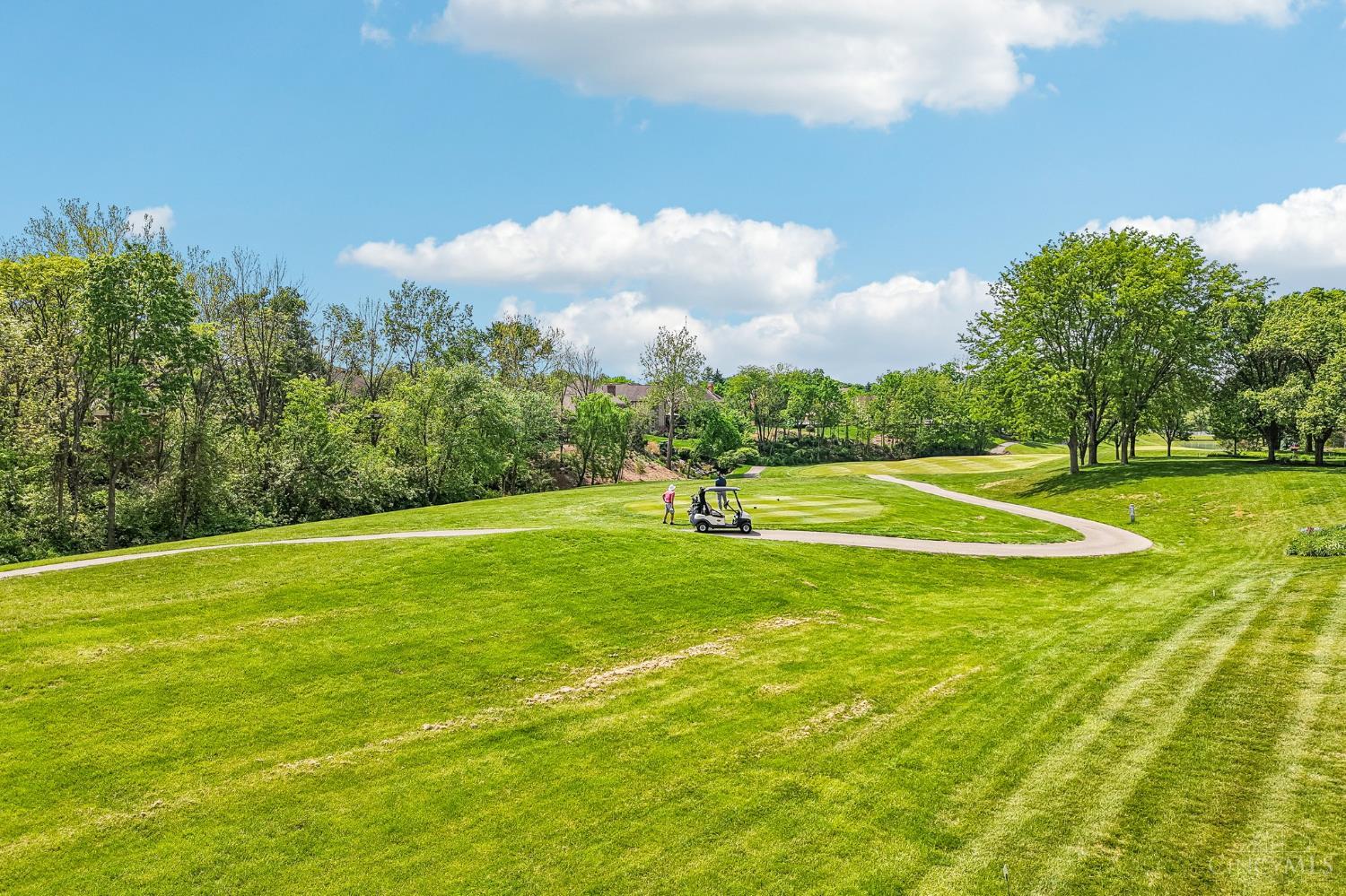 7331 Charter Cup Lane