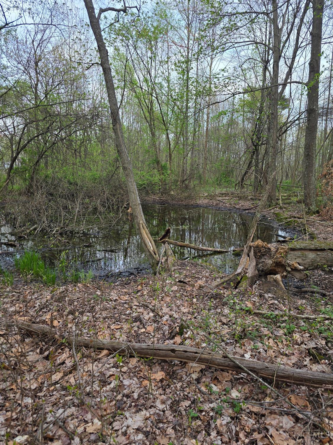 Hog Run Road, Stout, Ohio image 7