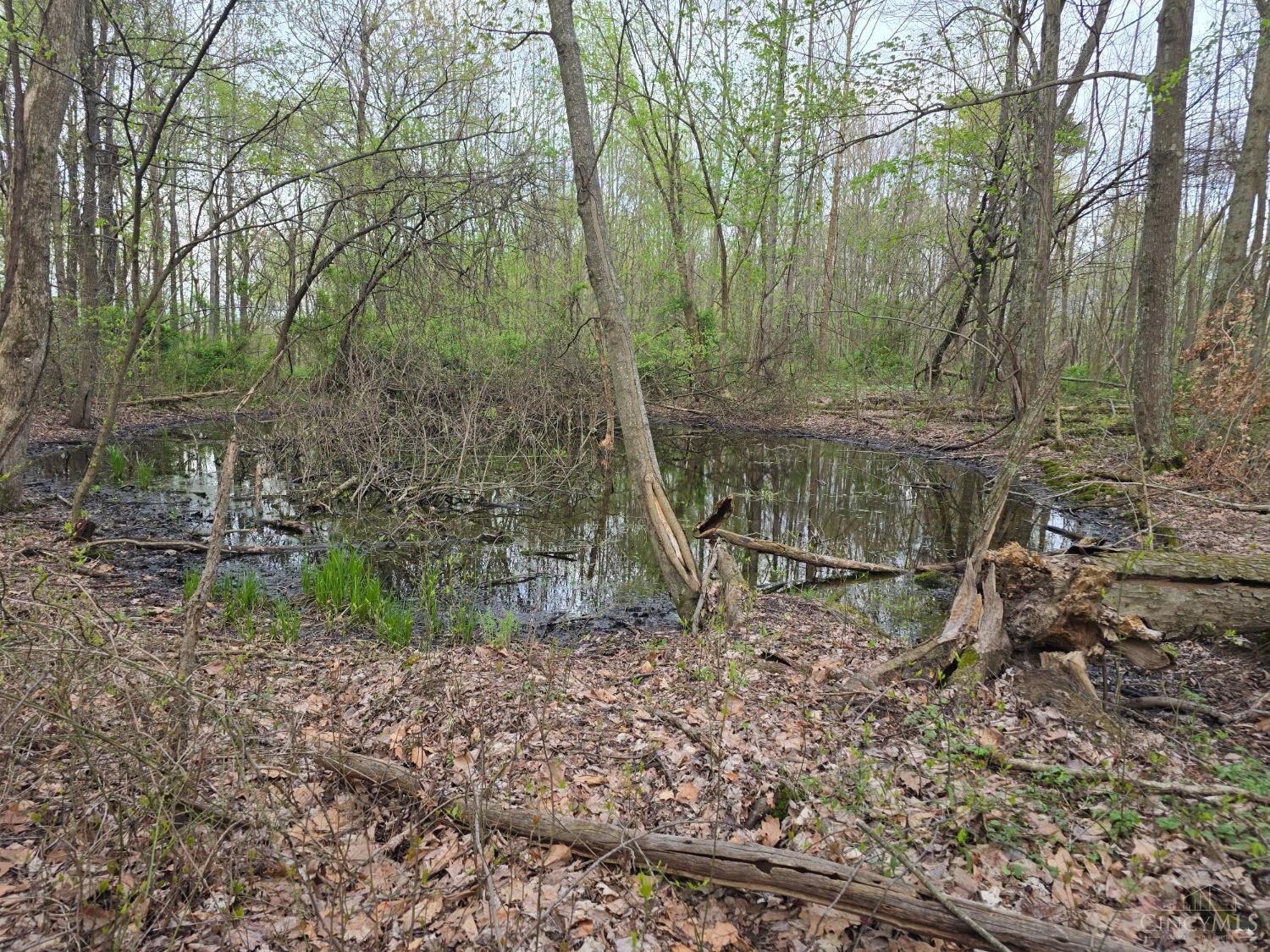 Hog Run Road, Stout, Ohio image 6