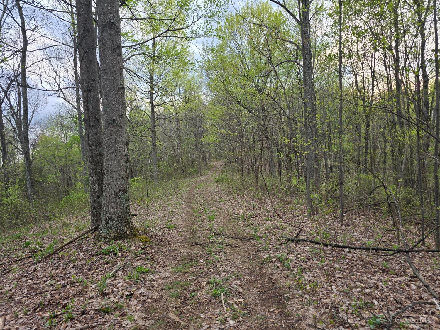 Hog Run Road, Stout, Ohio image 10