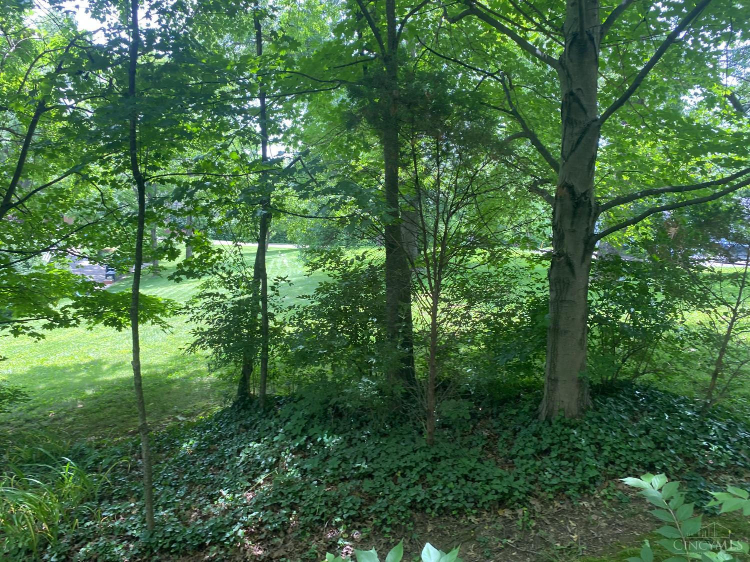4070 Hanley Road, Colerain Twp, Ohio image 8