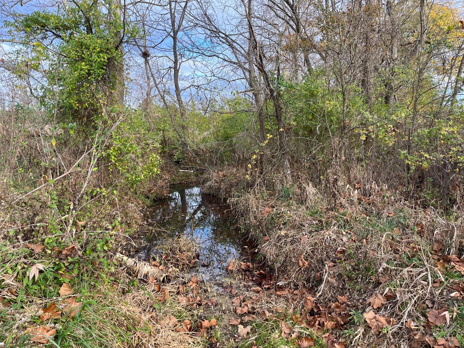 Collins Riley Road, Blanchester, Ohio image 6