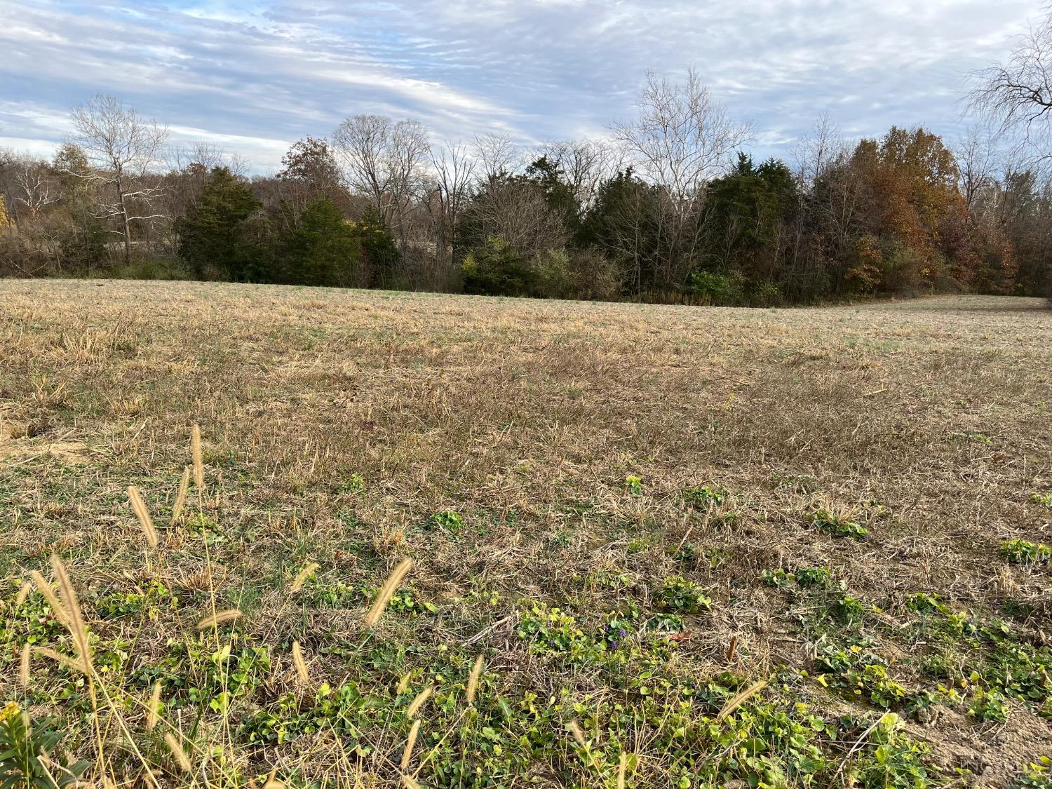 Collins Riley Road, Blanchester, Ohio image 10