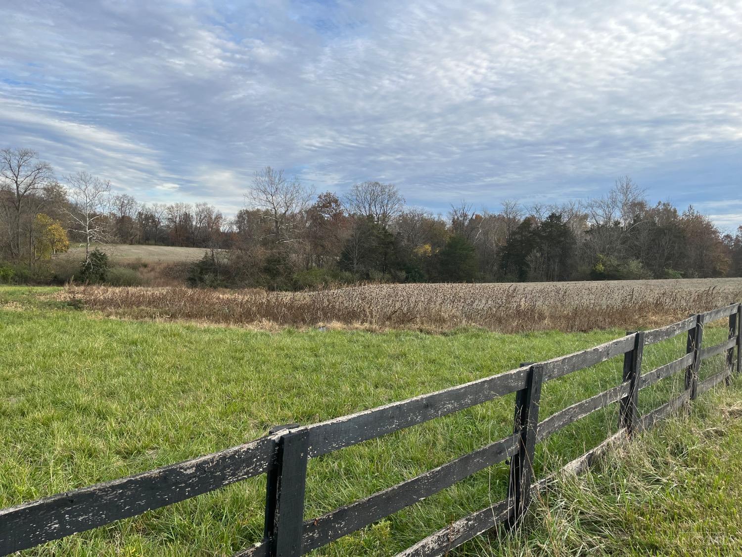 Collins Riley Road, Blanchester, Ohio image 17