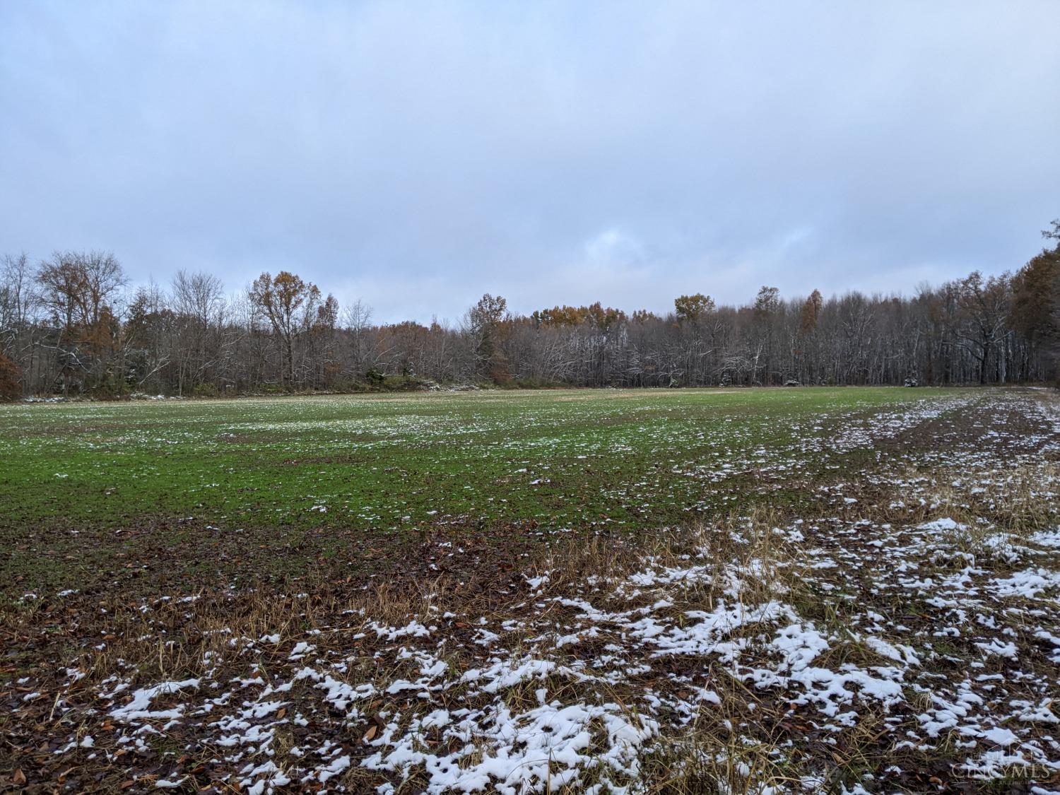 Acres Yankeetown Road, Clark Twp, Ohio image 5