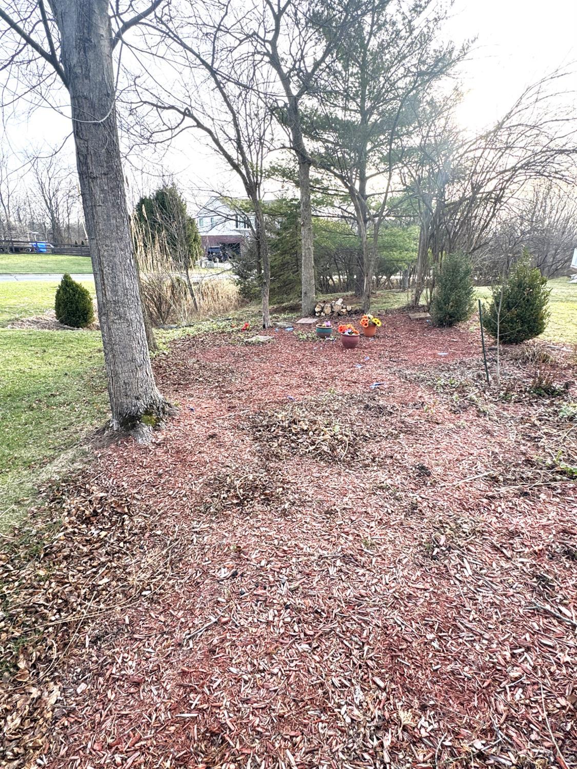 6535 Tree View Drive