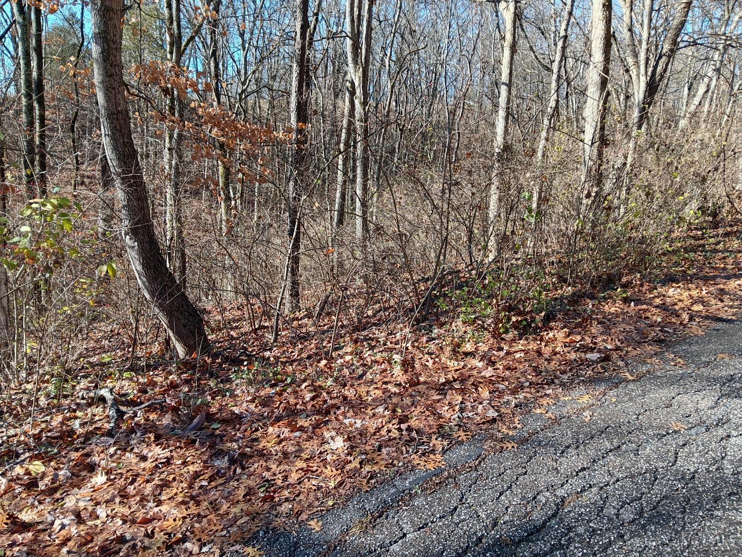 Alpine Terrace, Pierce Twp, Ohio image 1