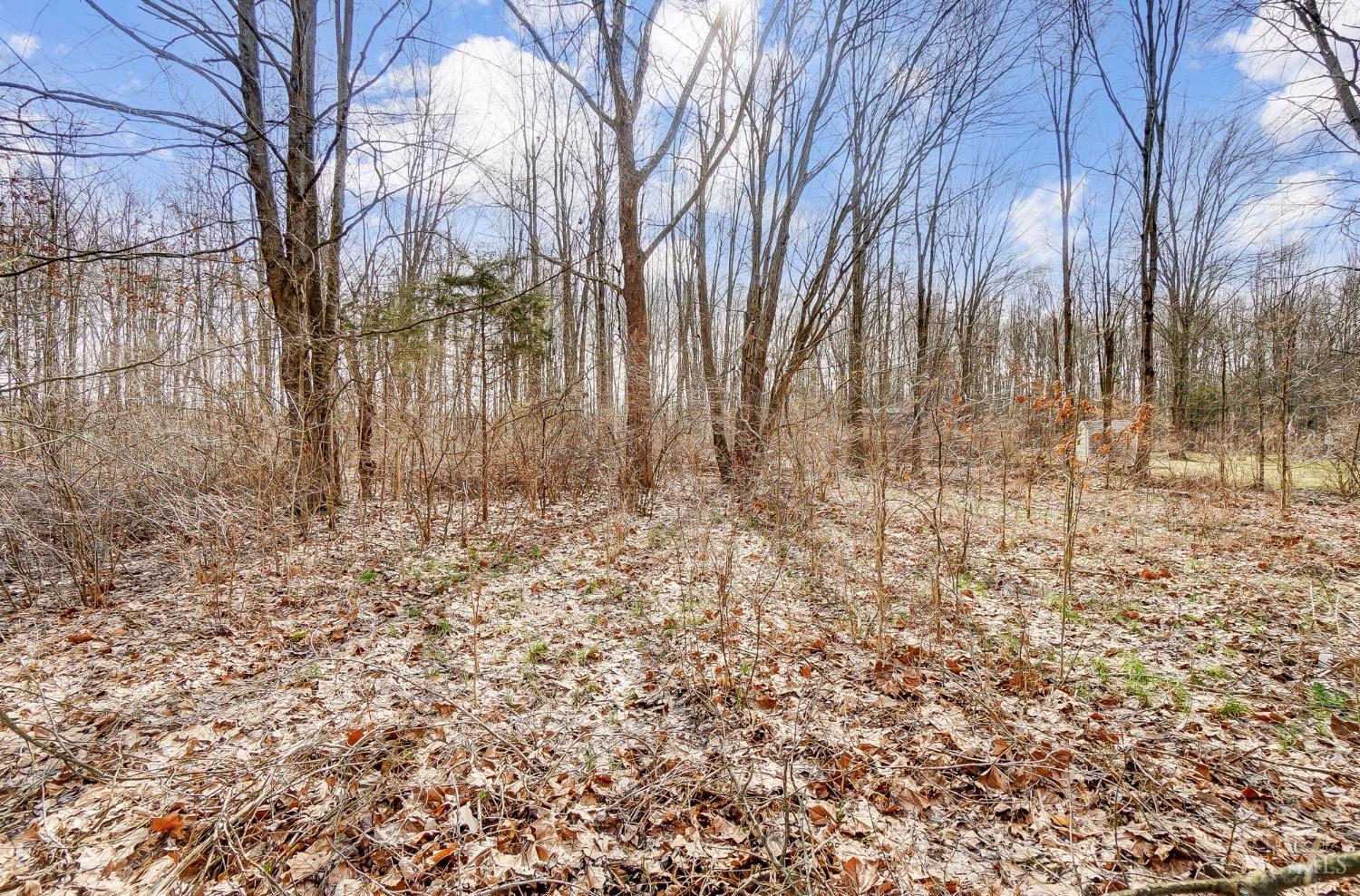 Williamsburg Twp, Ohio 45103, United States, 3 Bedrooms Bedrooms, ,1 BathroomBathrooms,Residential,Pending,82104