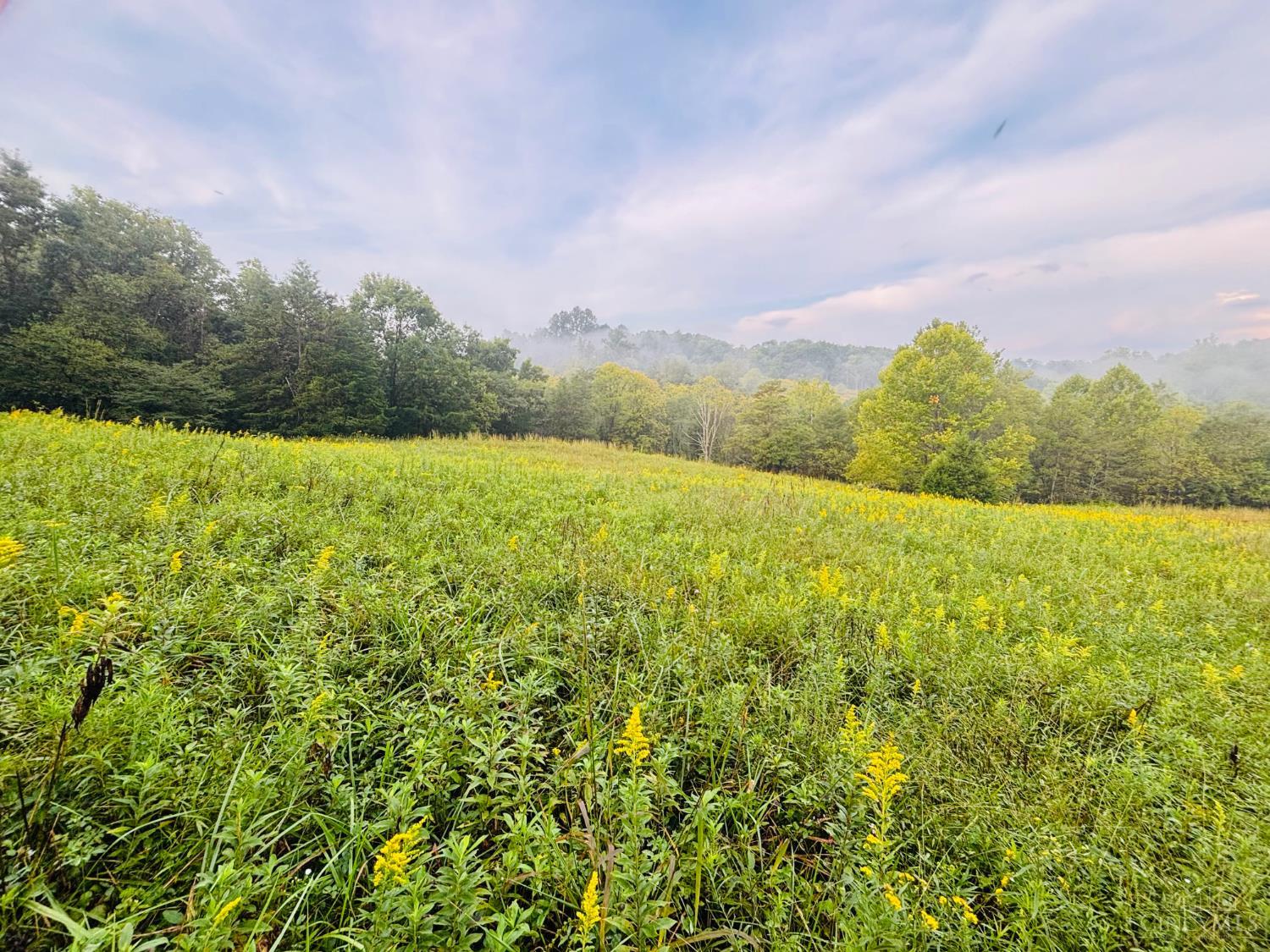 1 Snail Creek Road